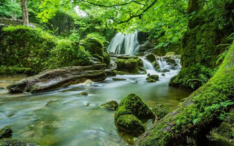 稳定性绿色高精度